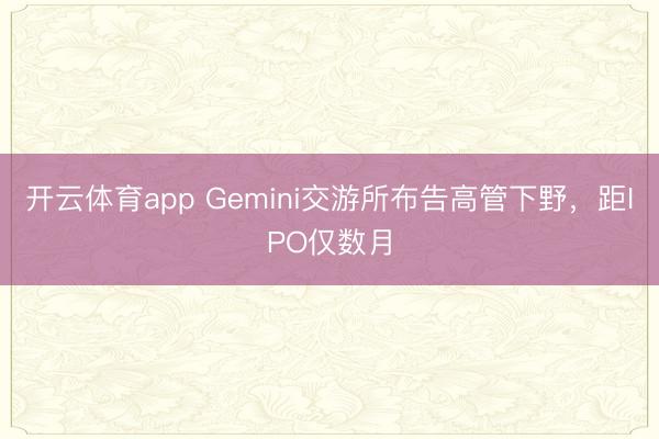 开云体育app Gemini交游所布告高管下野,距IPO仅数月