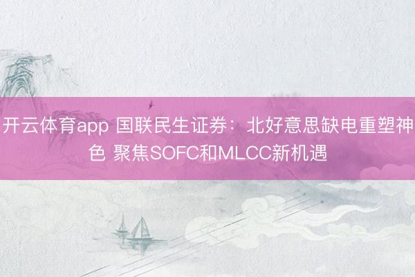 开云体育app 国联民生证券：北好意思缺电重塑神色 聚焦SOFC和MLCC新机遇