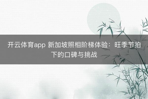 开云体育app 新加坡照相阶梯体验：旺季节拍下的口碑与挑战