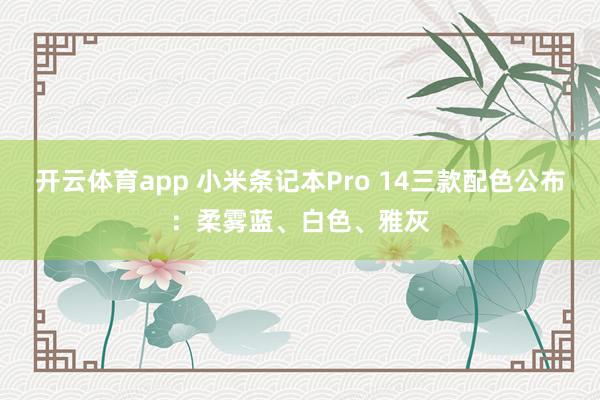 开云体育app 小米条记本Pro 14三款配色公布：柔雾蓝、白色、雅灰