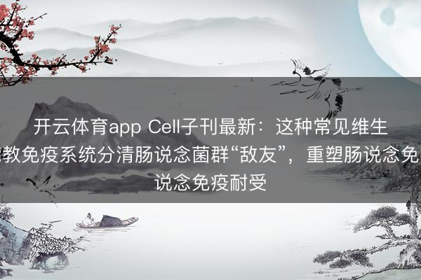 开云体育app Cell子刊最新：这种常见维生素竟能教免疫系统分清肠说念菌群“敌友”，重塑肠说念免疫耐受