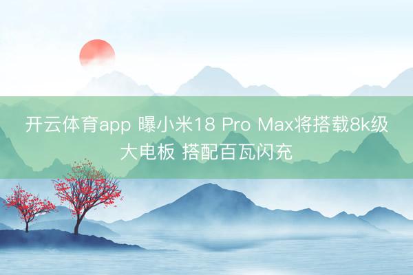 开云体育app 曝小米18 Pro Max将搭载8k级大电板 搭配百瓦闪充