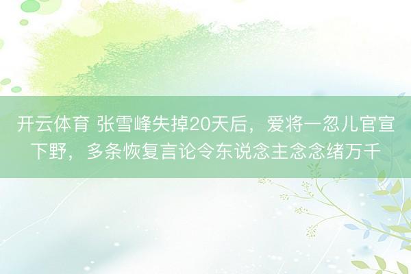 开云体育 张雪峰失掉20天后,爱将一忽儿官宣下野,多条恢复言论令东说念主念念绪万千