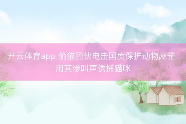 开云体育app 偷猫团伙电击国度保护动物麻雀 用其惨叫声诱捕猫咪